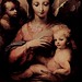 Domenico Madonna Photo 8