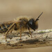 Andrena Brown Photo 6