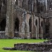 Allen Abbey Photo 8