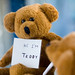 Teddy Day Photo 10