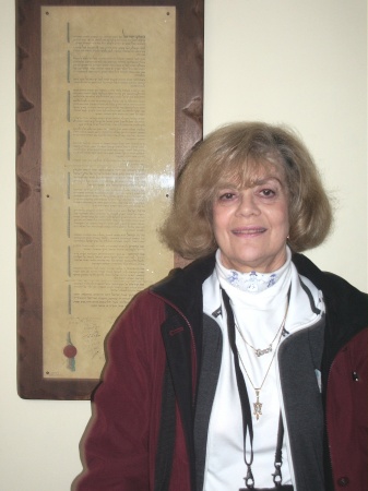 Carol Goldstein Photo 17