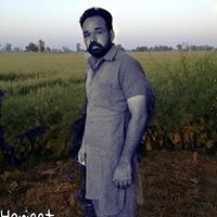 Harjeet Brar Photo 16